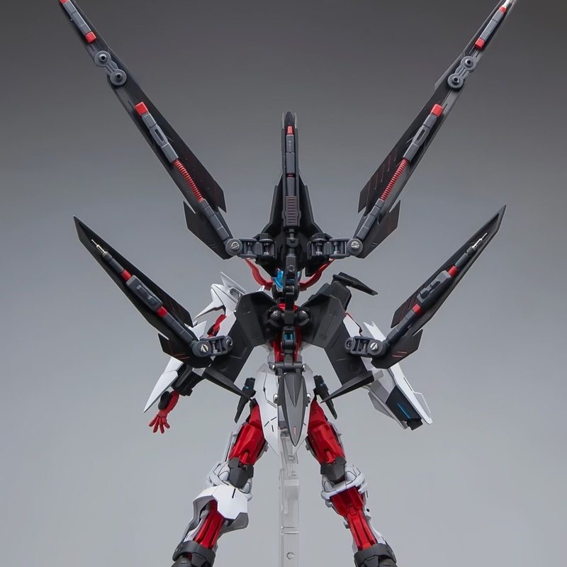 HG 1/144 Astray No-Name Astray - đánh giá và giá Model Kit Frame